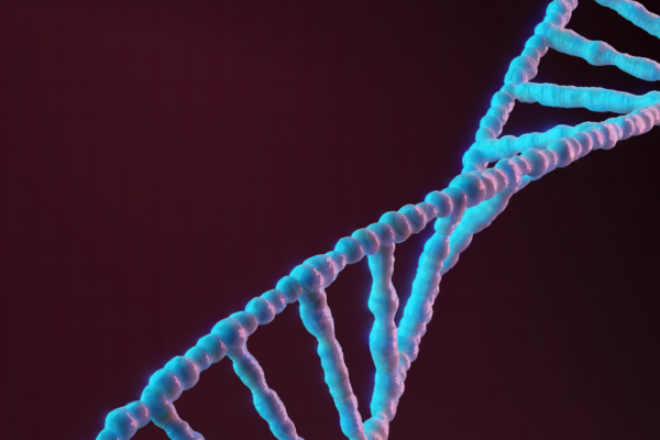 The Role of Genetics in Eye Conditions featured image